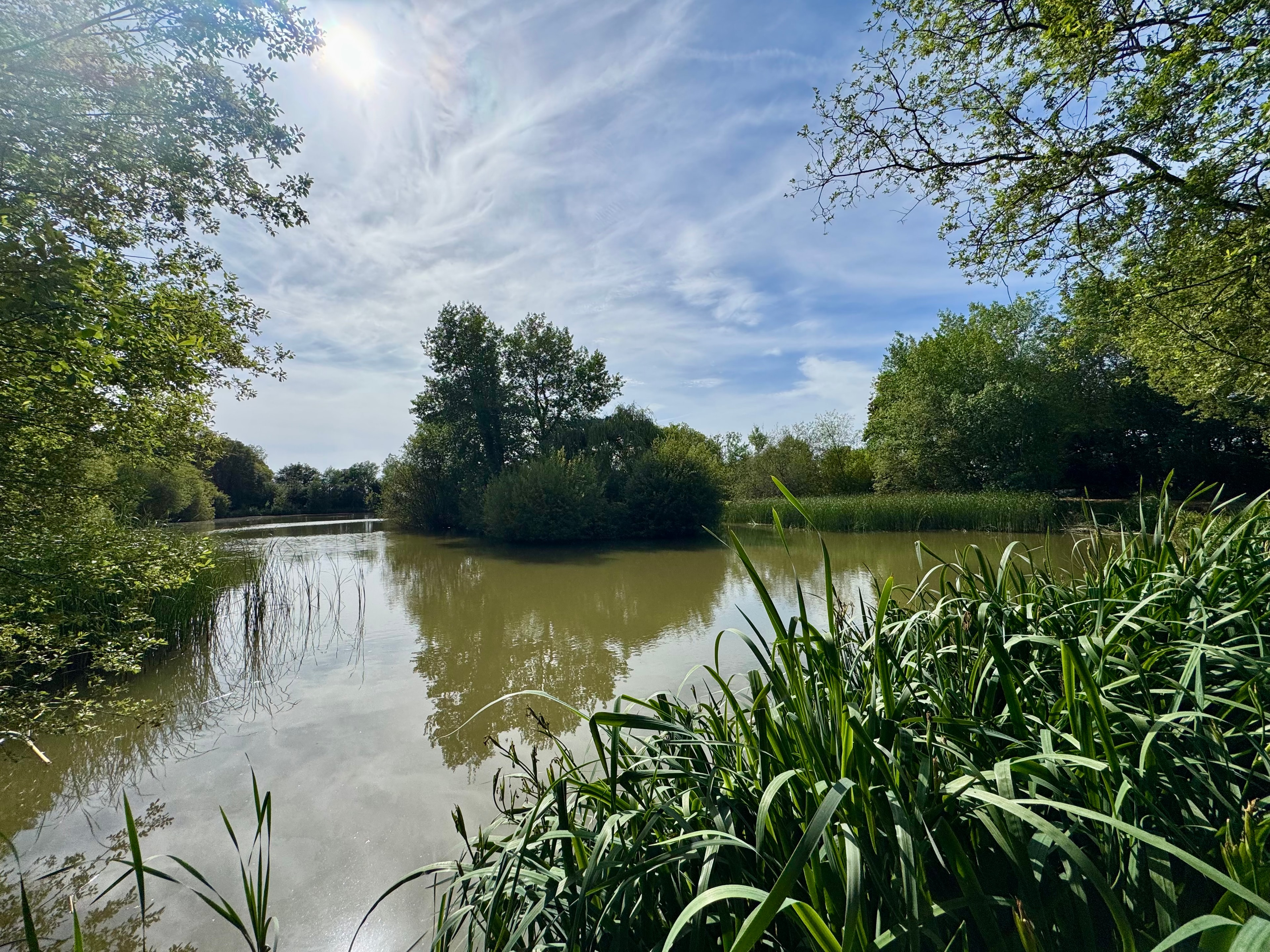 Large carp catch — Furze Farm